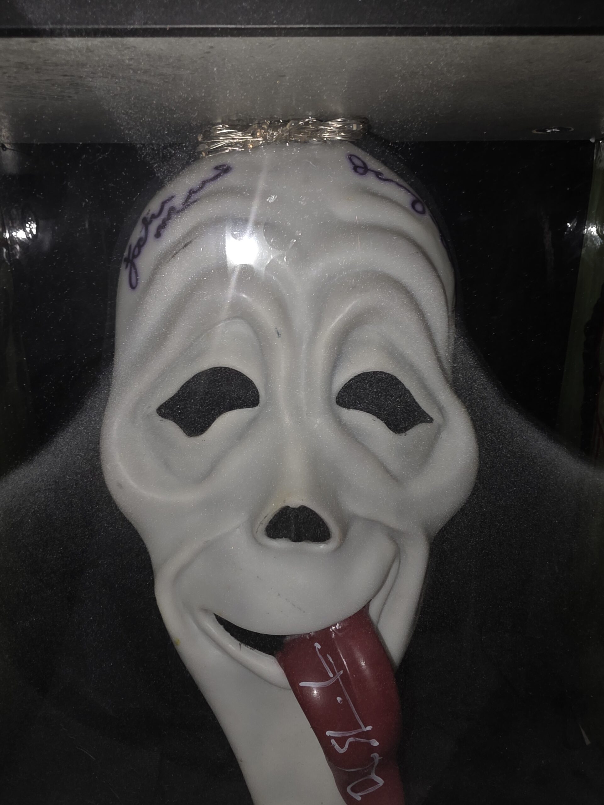 SCARY MOVIE WRAPPED BOX SIGNED BY 3 CAST - Image 5